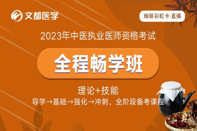 2023中医执业医师全程畅学班