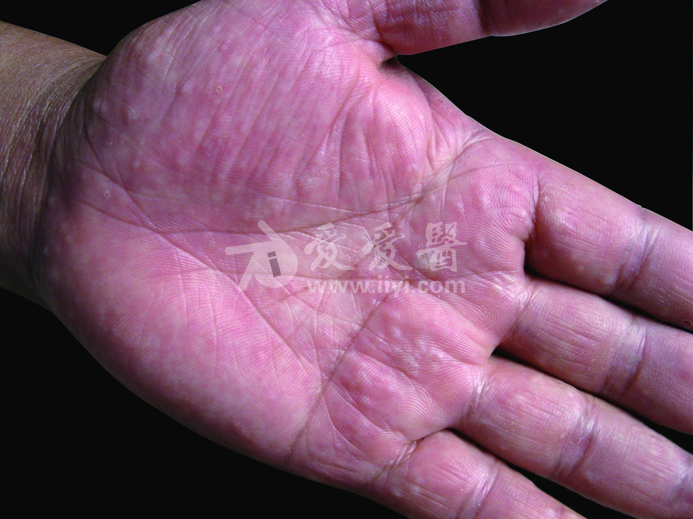 55fa668237f26_o.jpg
