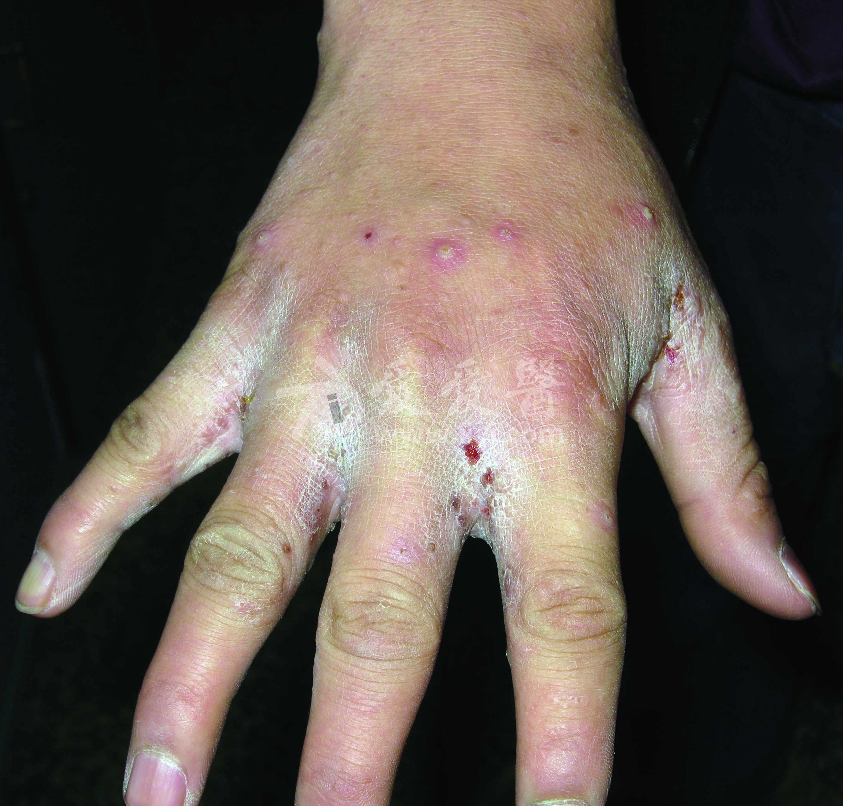 55fa73651ee7c_o.jpg
